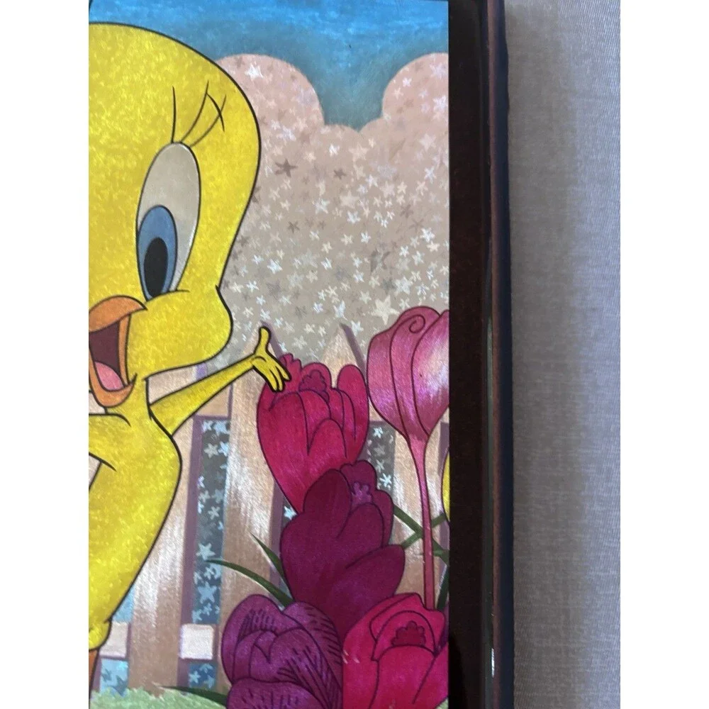 Twenty Bird Decorative  Picture 9”x7”